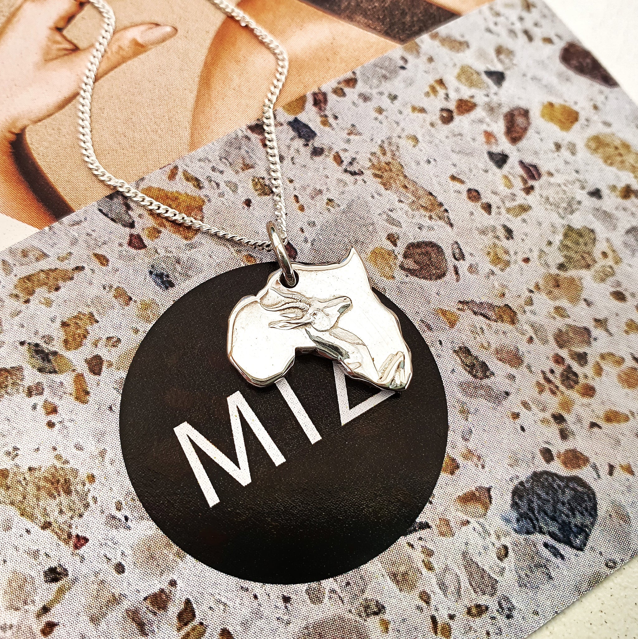 Springbok R1 Africa – MIA